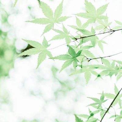 無人區92完整版在線觀看截圖1