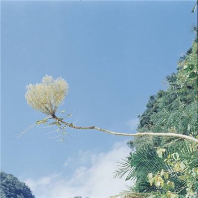 多倫私人影劇網(wǎng)截圖0