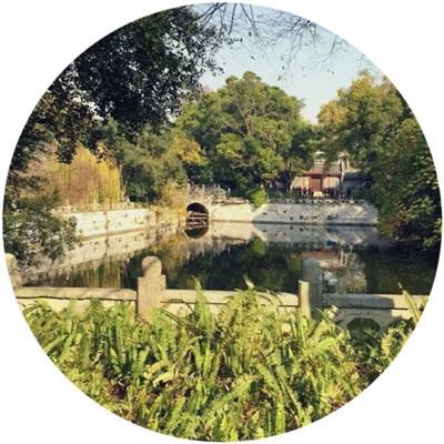 歐美無(wú)專(zhuān)磚嗎截圖3